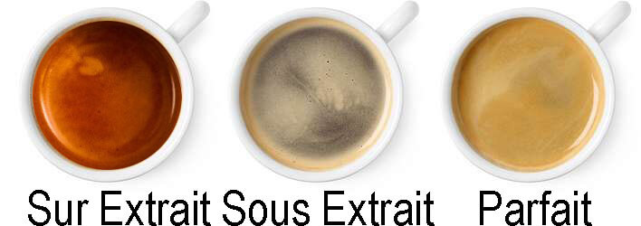 Les différentes extraction du café